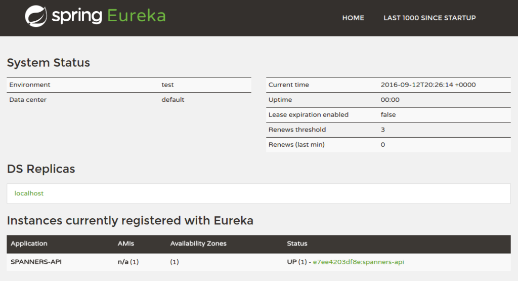 spanners-api registered with Eureka